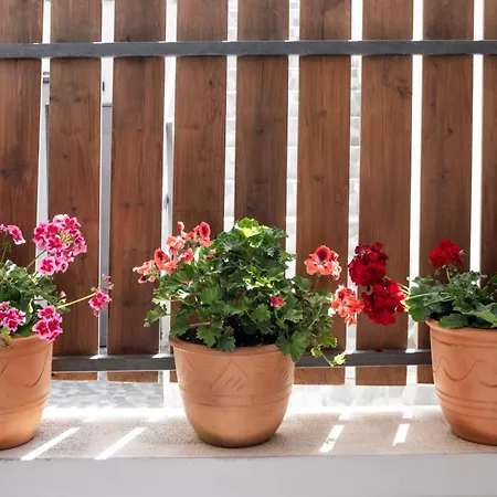 بيت للعطل Remvi House *